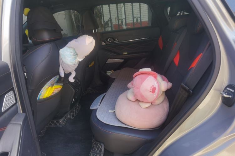 Used Haval XY 2022 2.0T ZhiZun All-Wheel-Drive Version Left Rear Seat