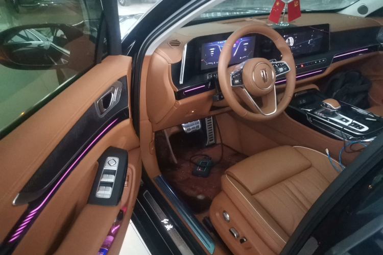 Used Hongqi H9 2025 2.0T Two-Wheel Drive Flagship Luxury Business Edition 5 Seats

