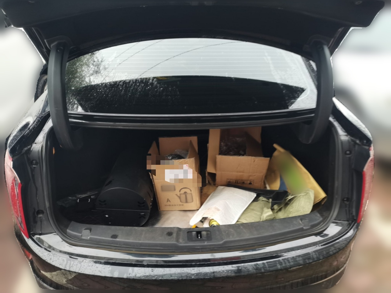 Hongqi E-QM5 2023 620km PLUS — снимка 19