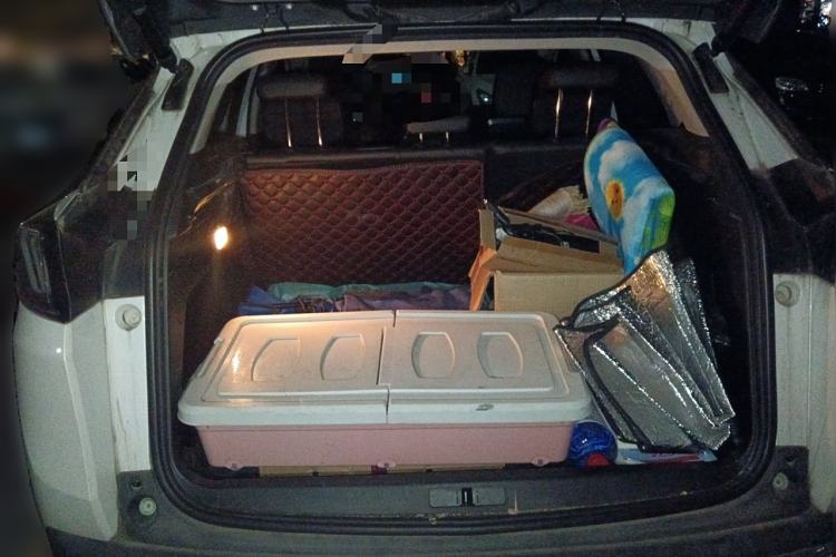 Used Peugeot 4008 2021 360THP Technology Edition Trunk