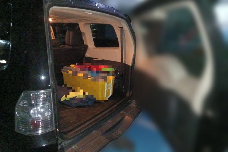 Used Mitsubishi Pajero 2014 3.0L Elite Edition
