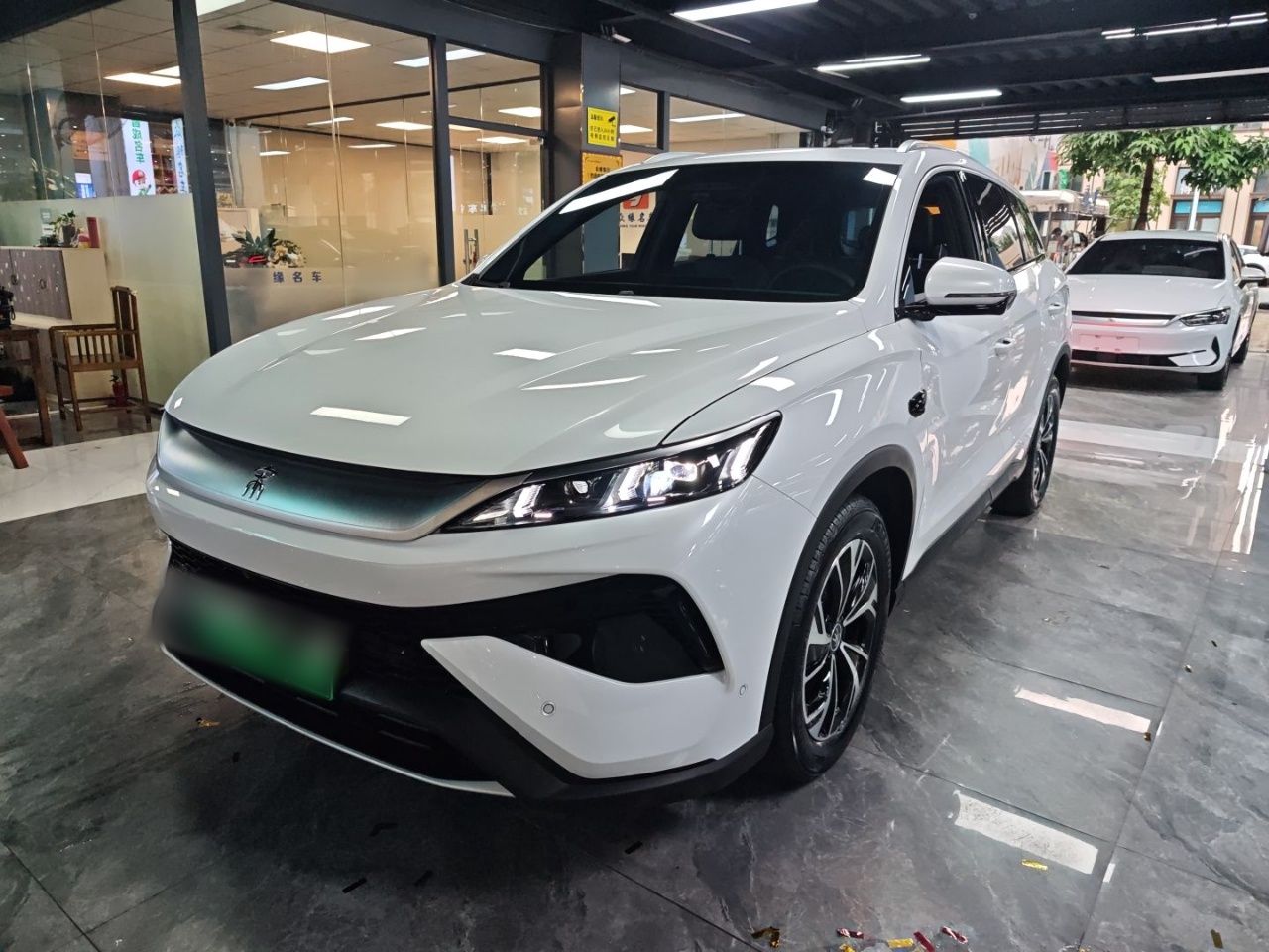 Parte inferior delantera