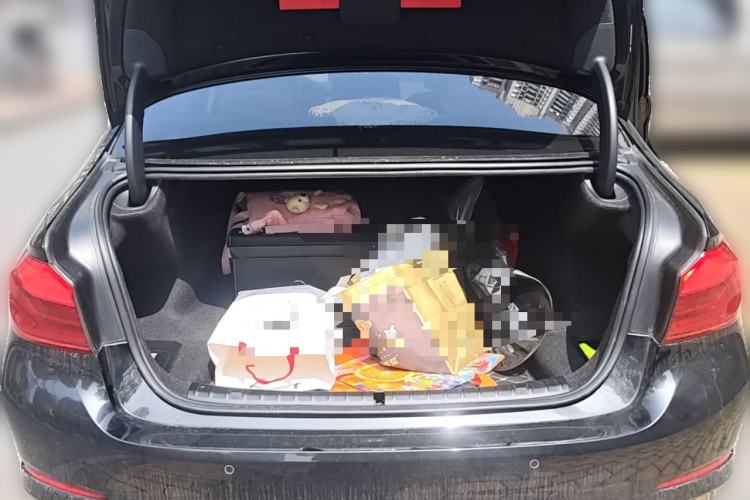 Used BMW 5 Series 2020 530Li Leading Edition Luxury Package
