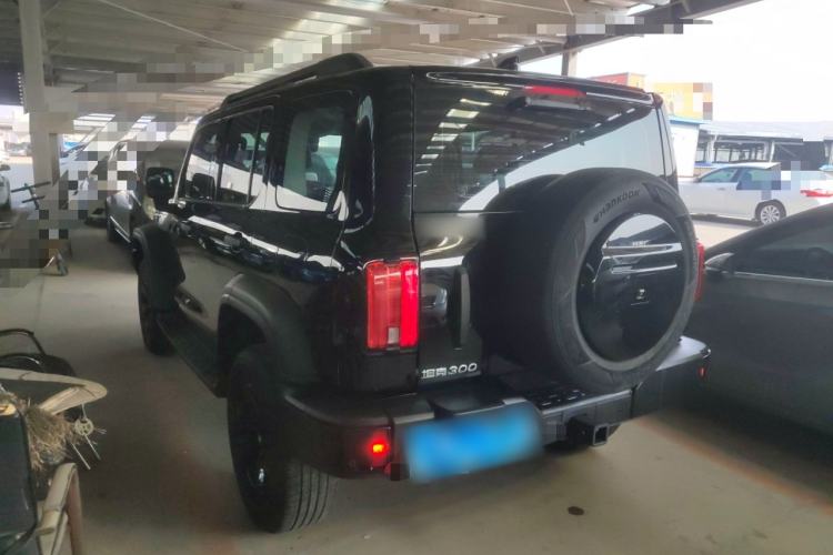 Used Tank 300 2024 2.0T Conqueror