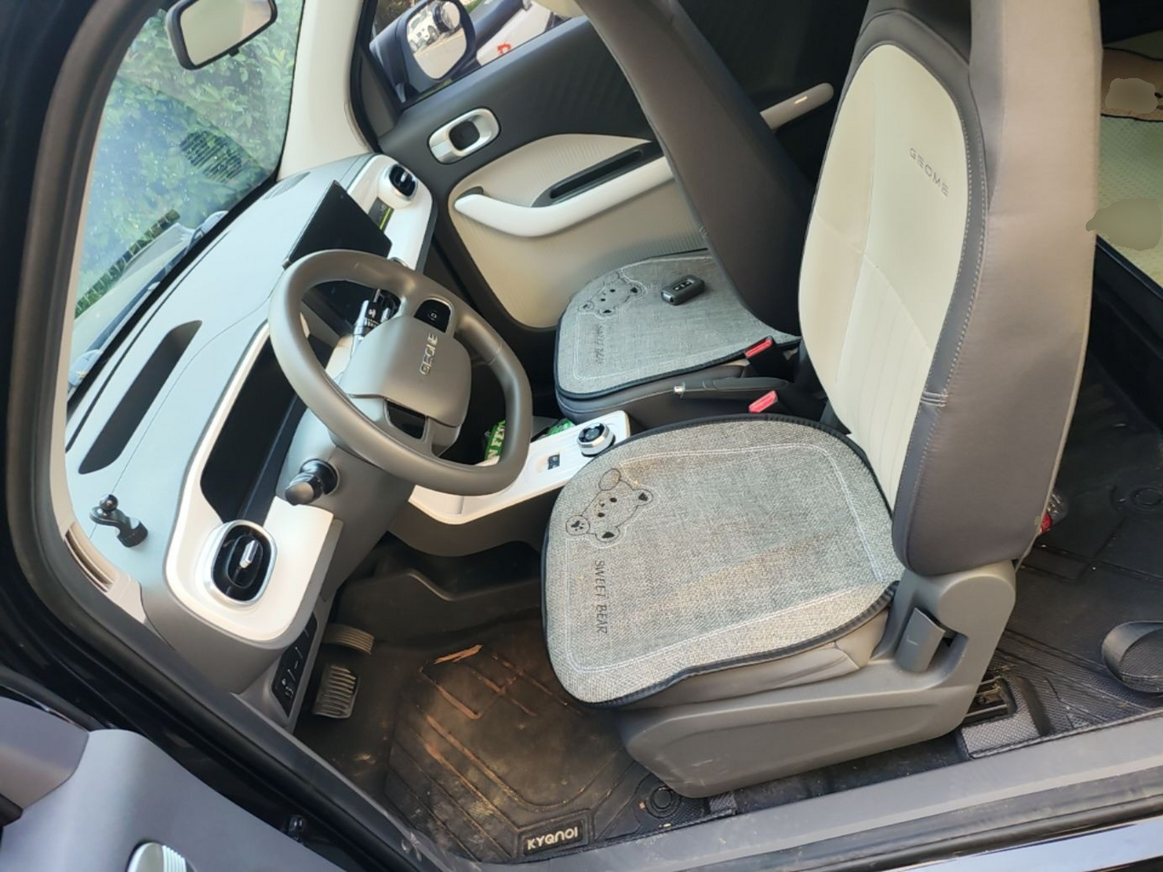 Interior delantero