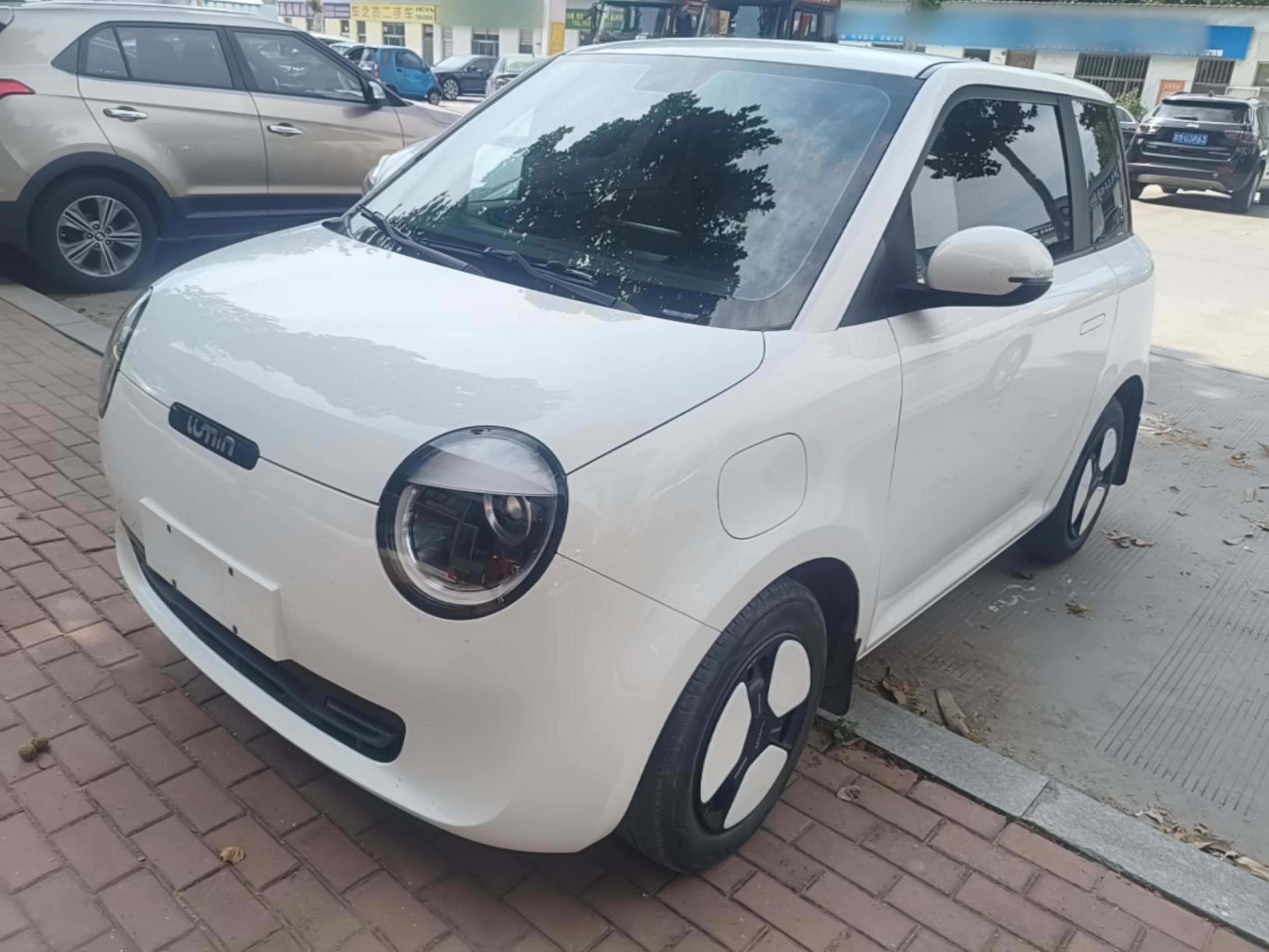 Parte inferior delantera