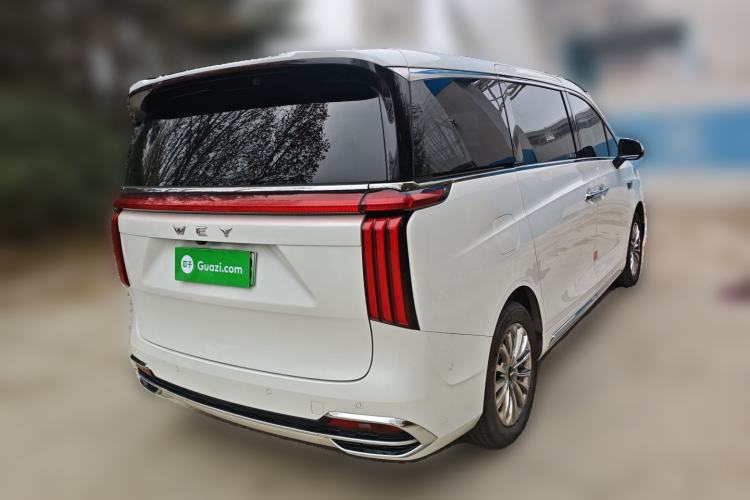 Used Wey Gaoshan 2023 Four-Wheel Drive Flagship Edition