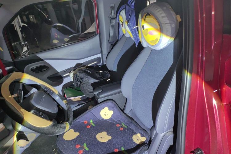 Used Baojun E200 2020 305KM Smart Drive Version Left Rear Seat