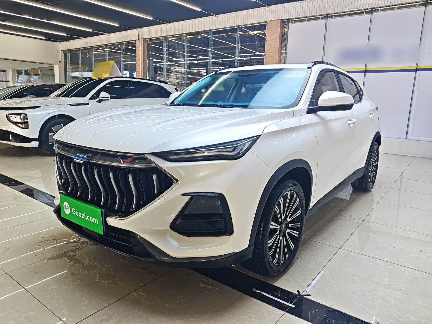 Parte inferior delantera