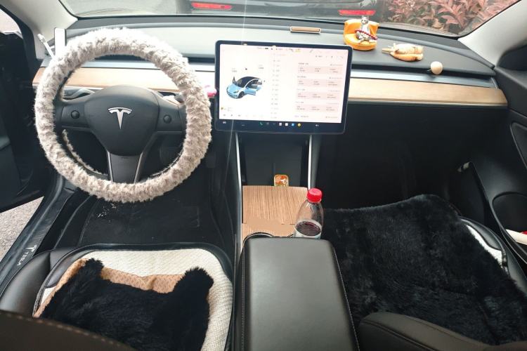 Used Tesla Model 3 2020 Revised Version Standard Range Rear-Wheel Drive – Upgraded Edition