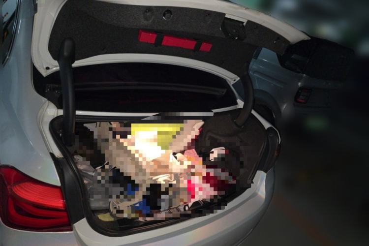 Used BMW 3 Series 2016 320Li Ambition Model Trunk