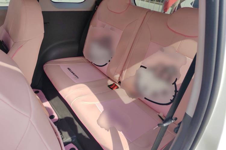 Used Qiyuan Lumin 2023 205km Xiangqin Version
