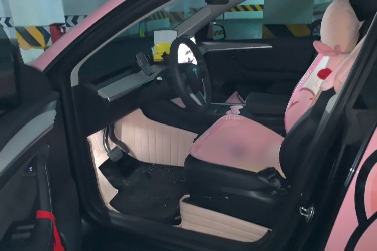 Used Tesla Model Y 2024 Rear-Wheel-Drive Version