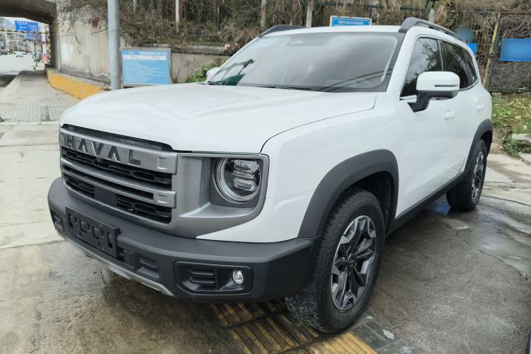 Used Haval DARGO 2024 2.0T DCT Chinese Rural Dog Edition
