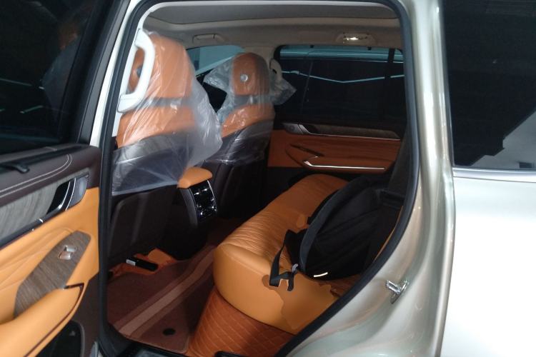 Used Tank 500 New Energy 2024 Hi4-T Left Rear Seat