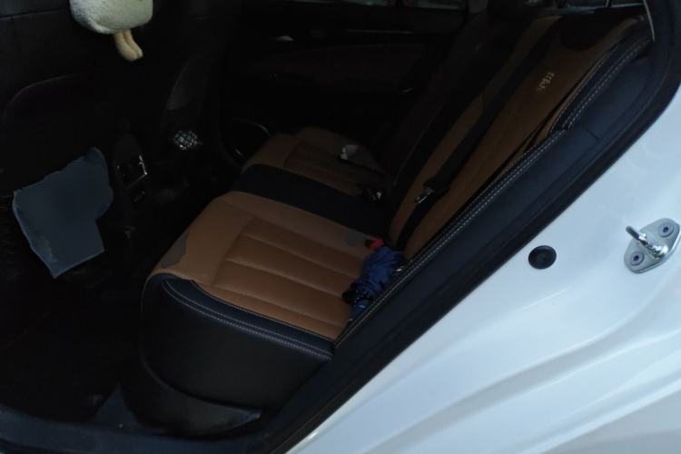 Used BYD Qin New Energy 2018 Qin EV450 Smart Connect Prestige Model Left Rear Seat