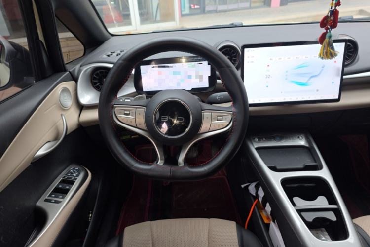 Used BYD Dolphin 2025 Smart Drive Version 420 km Freedom Edition
