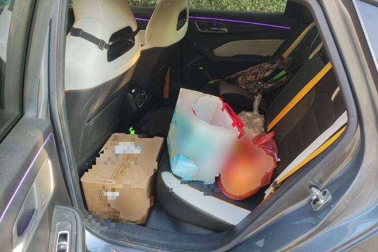 Used MG 6 2021 Pro 1.5T Automatic Trophy Flagship Edition Left Rear Seat