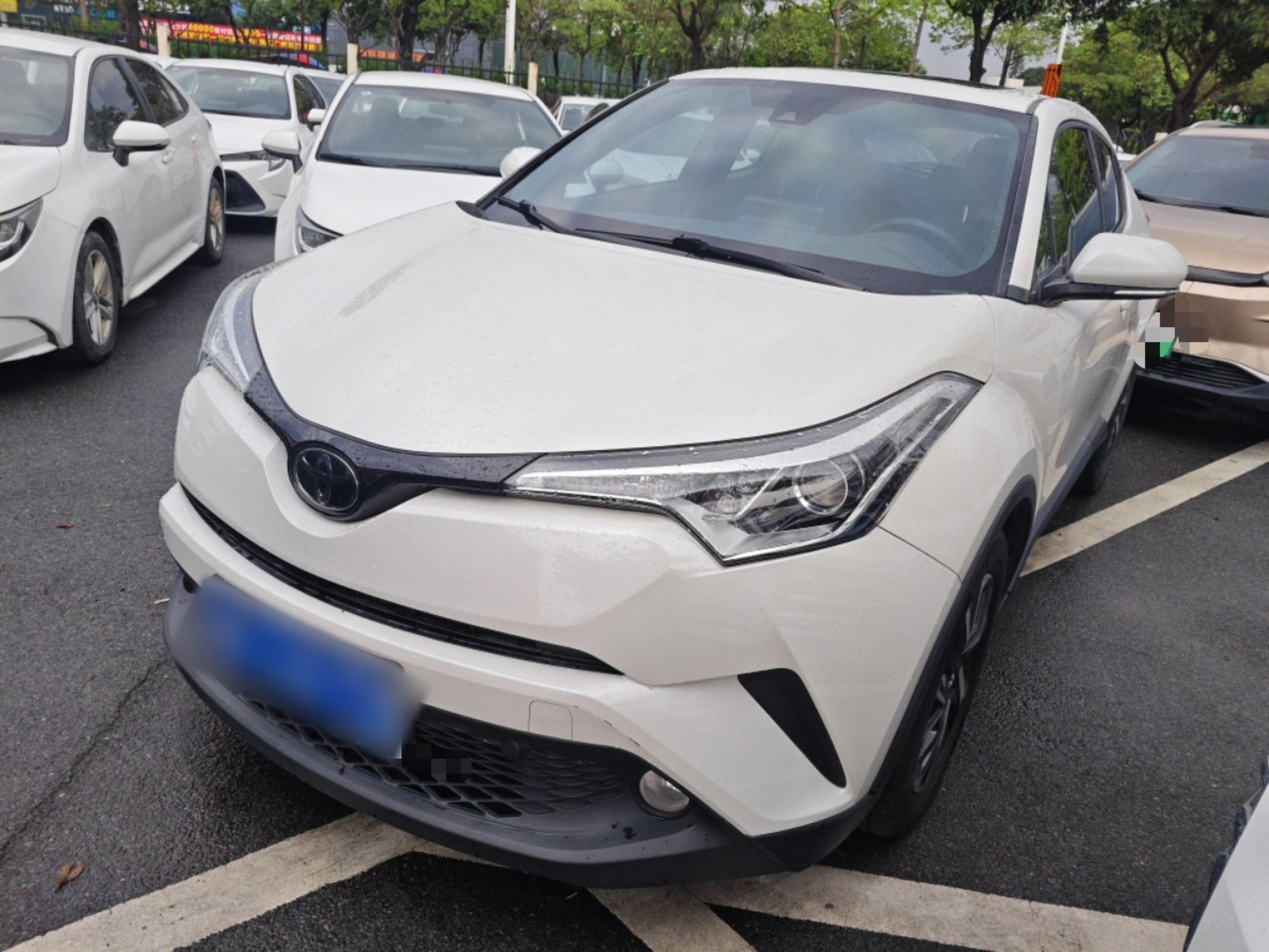 Parte inferior delantera