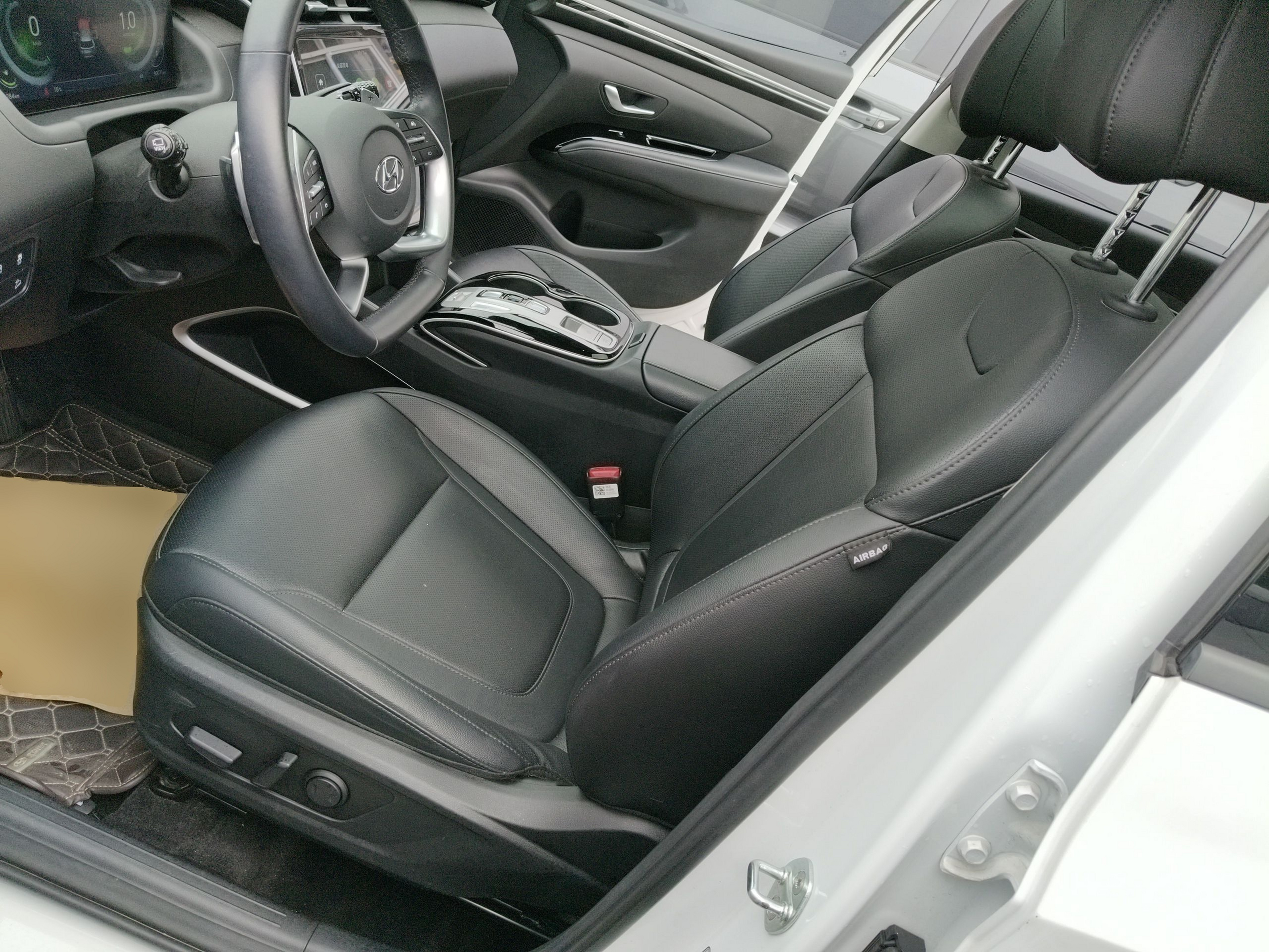 Interior delantero
