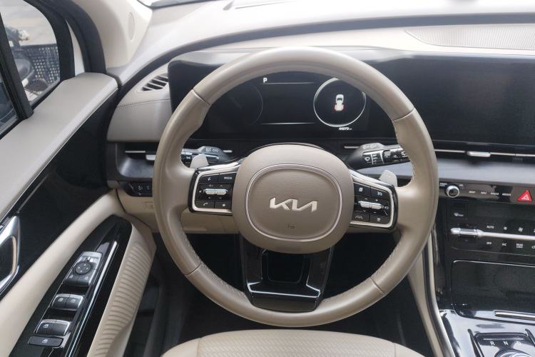 Used Kia Carnival 2021 2.0T Luxury Premium Model
