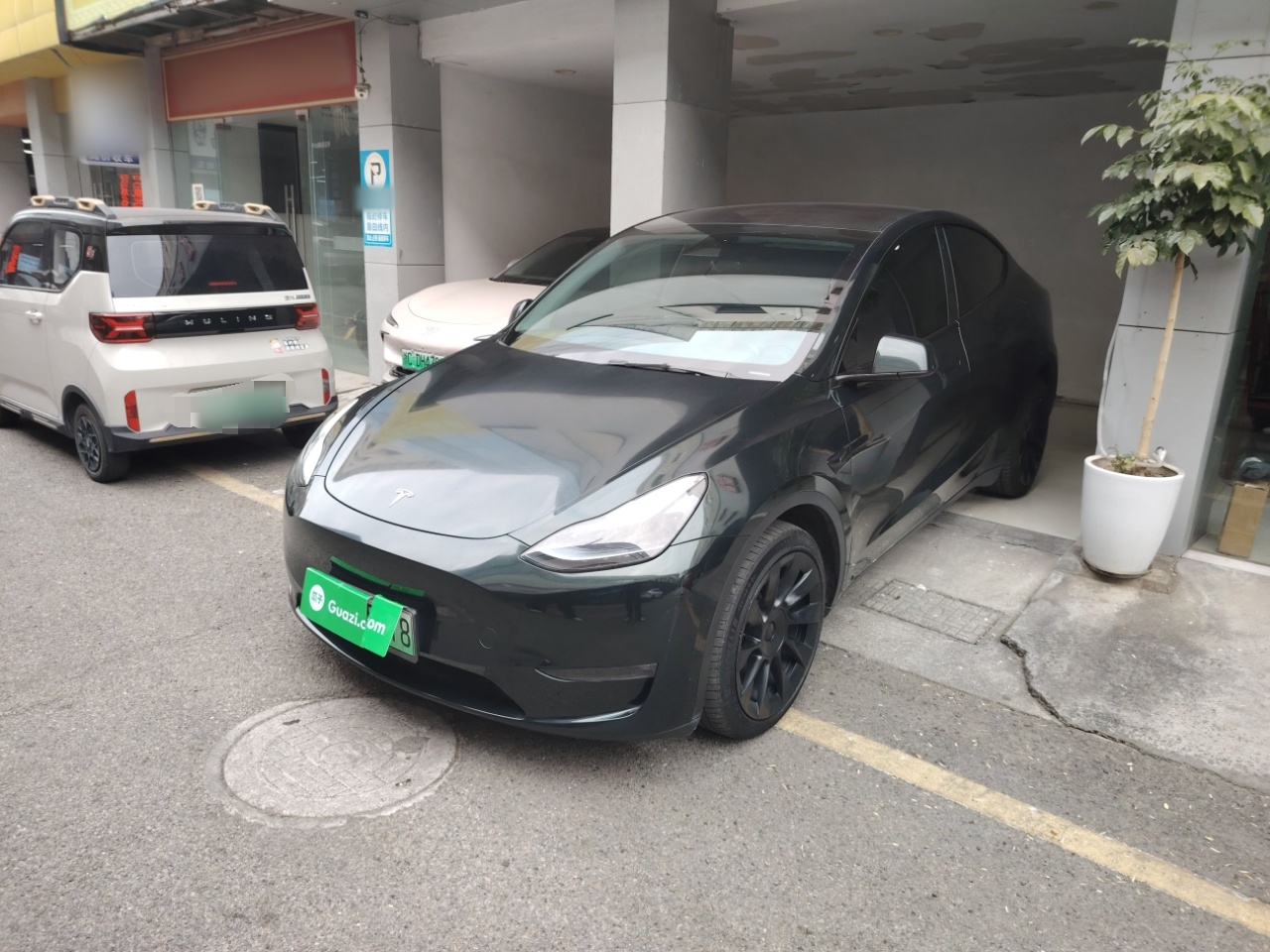 تحت مقدمة السيارة