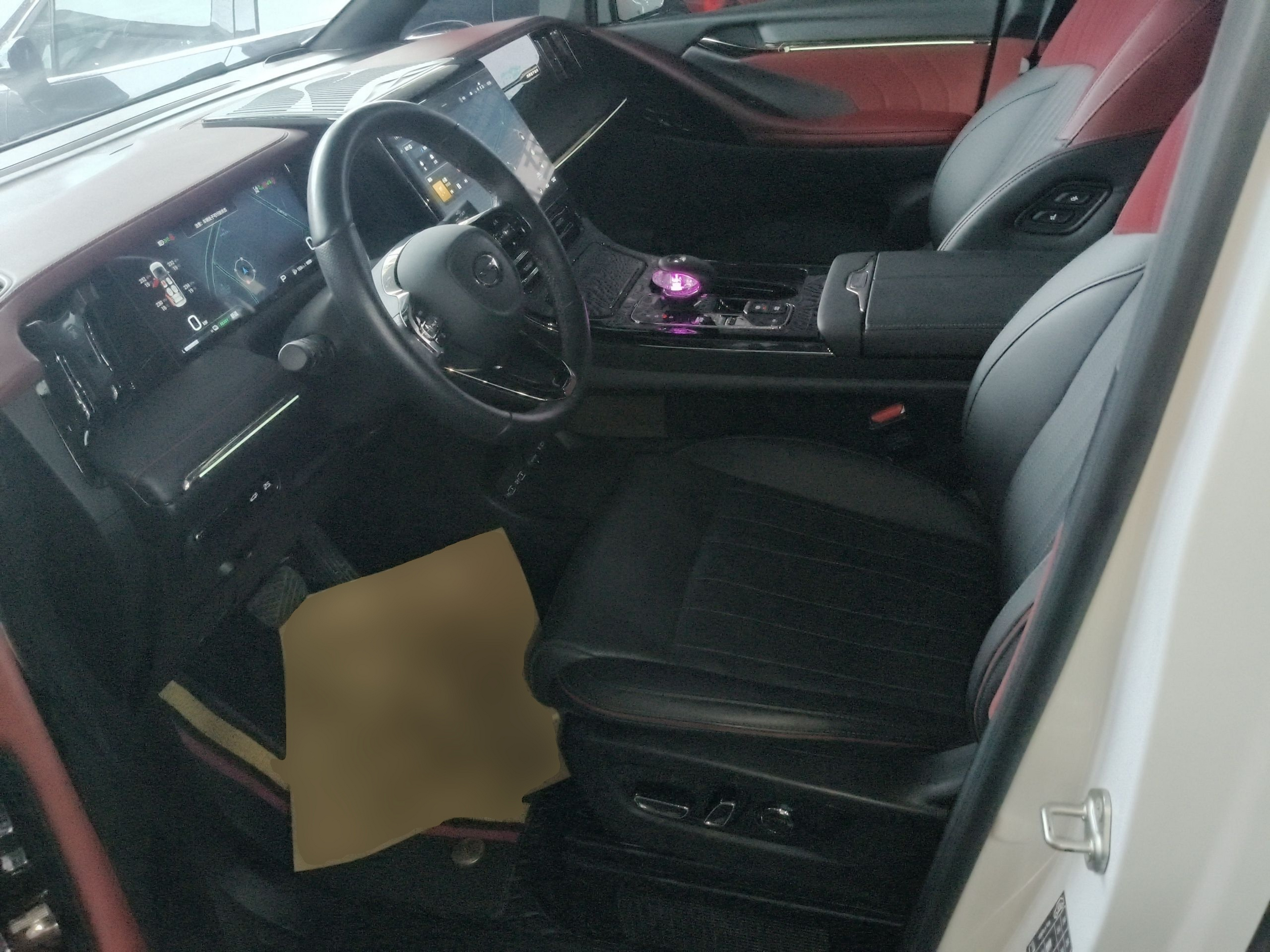 Interior delantero