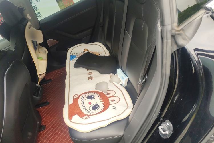 Used Tesla Model 3 2020 Refreshed Version Long-Range Rear-Wheel Drive Left Rear Seat