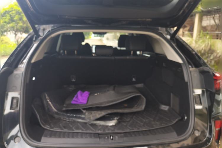 Used Wey Mocha 2021 2.0T Four-Wheel Drive Premium Edition
