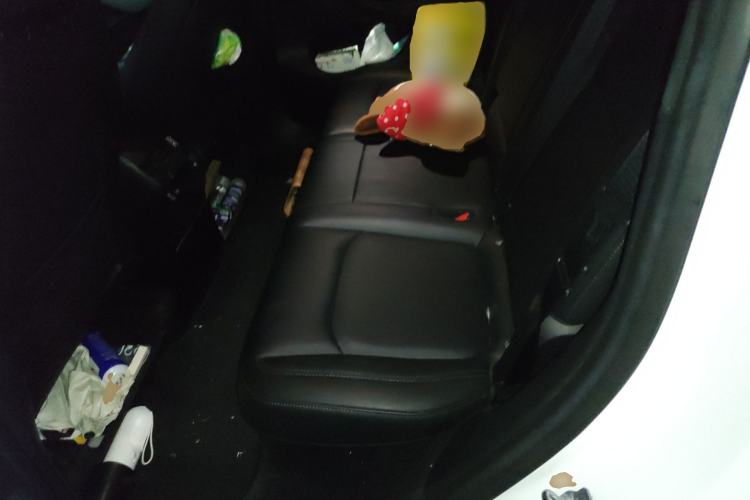 Used Tesla Model Y 2021 Standard Range Rear-Wheel Drive Version Left Rear Seat