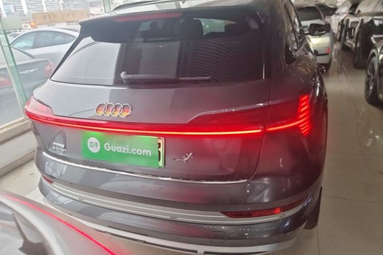 Used Audi e-tron 2021 50 quattro Luxury Edition Rear