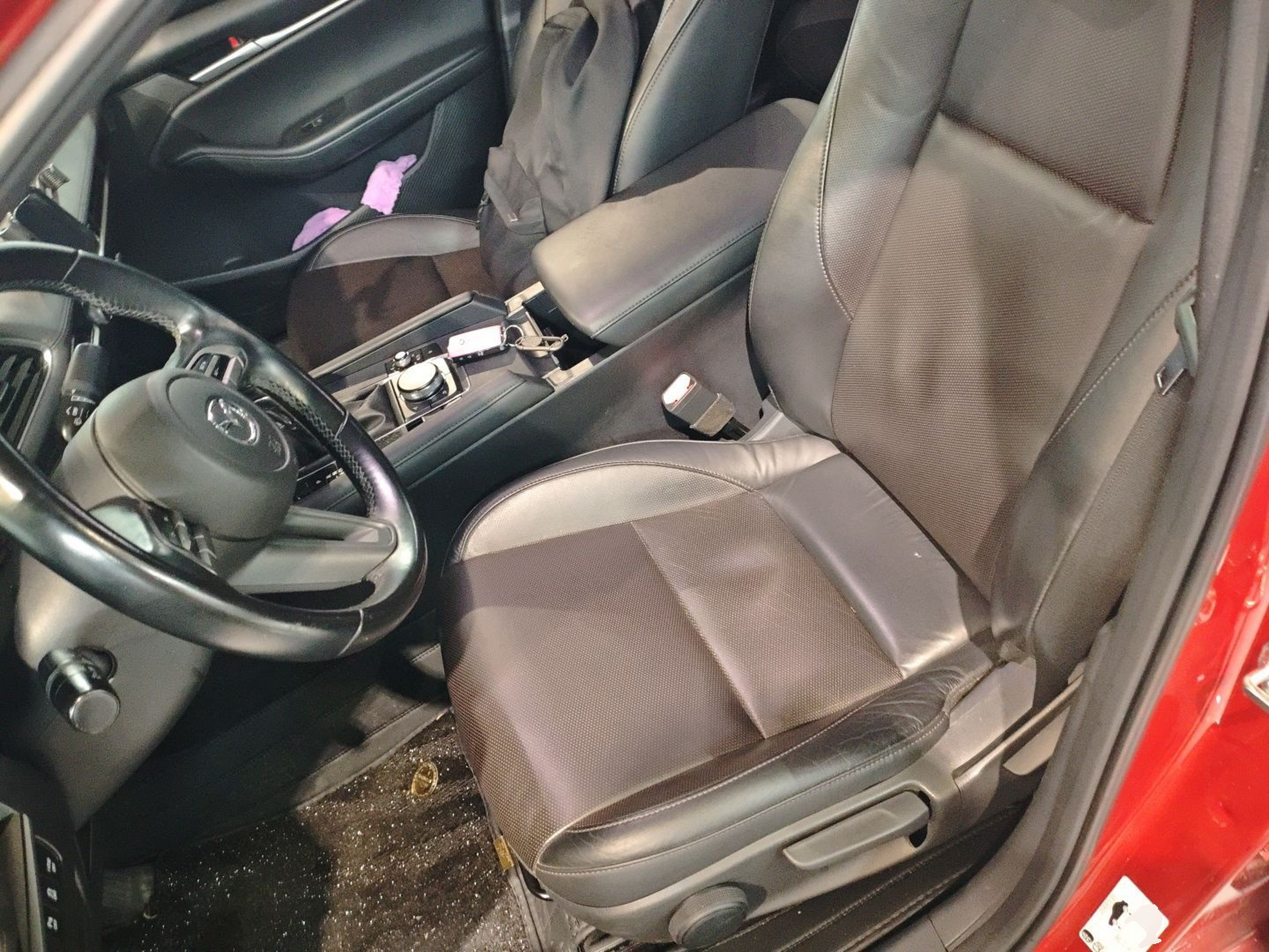 Interior delantero