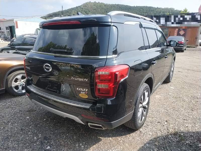 Used GAC Trumpchi GS8 2017 320T Four-Wheel Drive Luxury Smart Connectivity Version (7 Seats) — 6