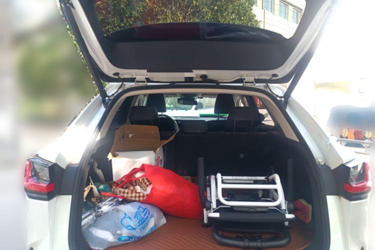 Used Lexus NX 2022 260 Front-Wheel Drive Chuanchi Edition