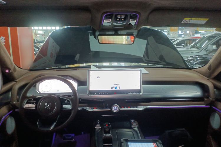 Used Tank 700 New Energy 2024 Hi4-T Extreme Edition Center Console