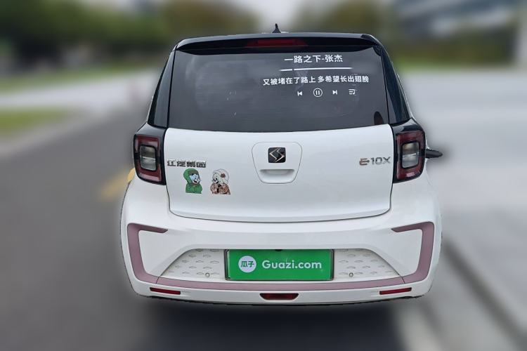 Used SOL E10X 2022 Flower Fairy Style Baby's Breath