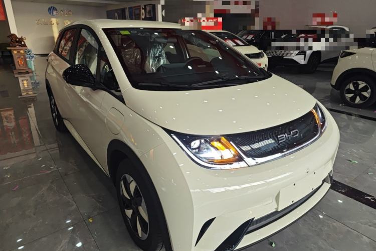 Used BYD Dolphin 2025 420km Free Edition