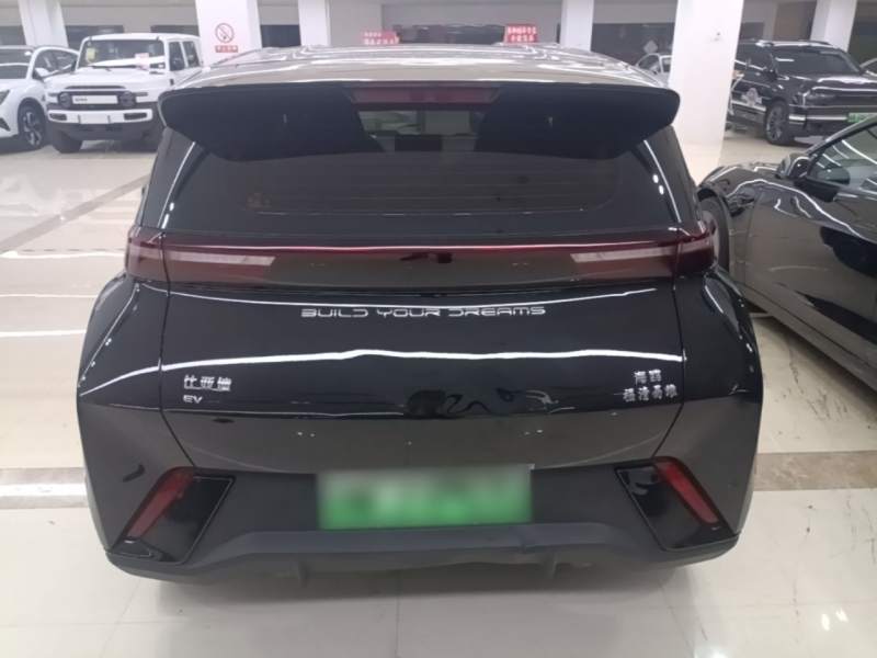 Used BYD Seagull 2024 Honor Edition 305km Freedom Version — 5