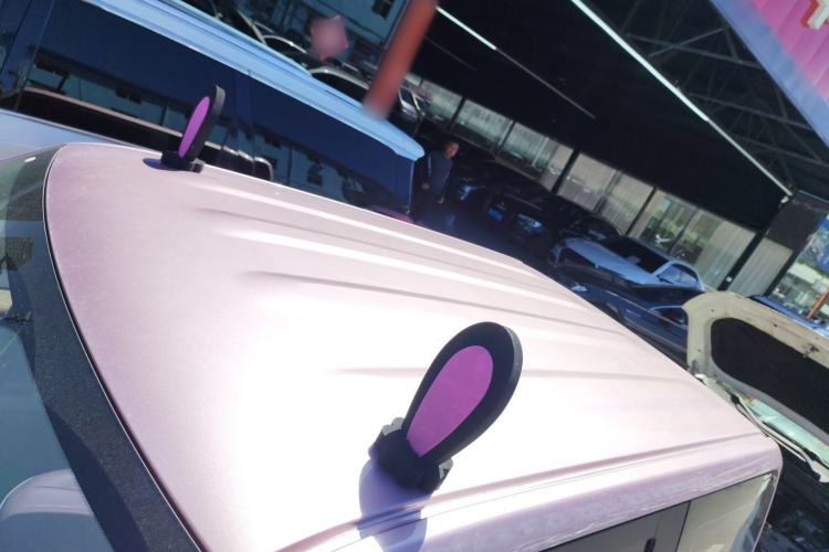 Used Geely Galaxy Panda 2024 Panda Mini 200km Endurance Bear
