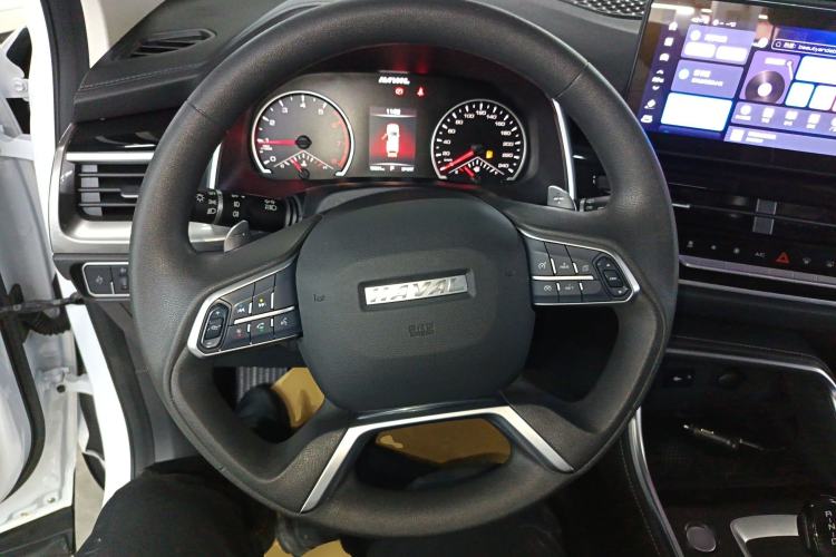 Used Haval H6 2023 National Trend Edition 1.5T Automatic Urban Version