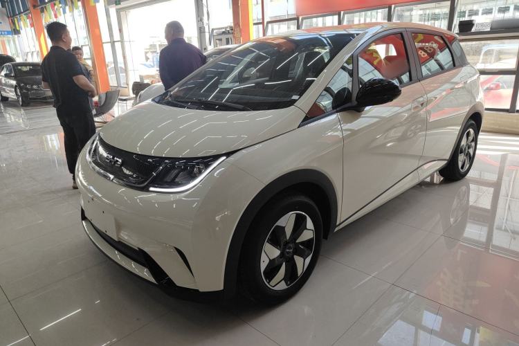 Used BYD Dolphin 2025 420km Free Edition