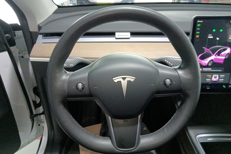 Used Tesla Model Y 2021 Standard Range Rear-Wheel Drive Version