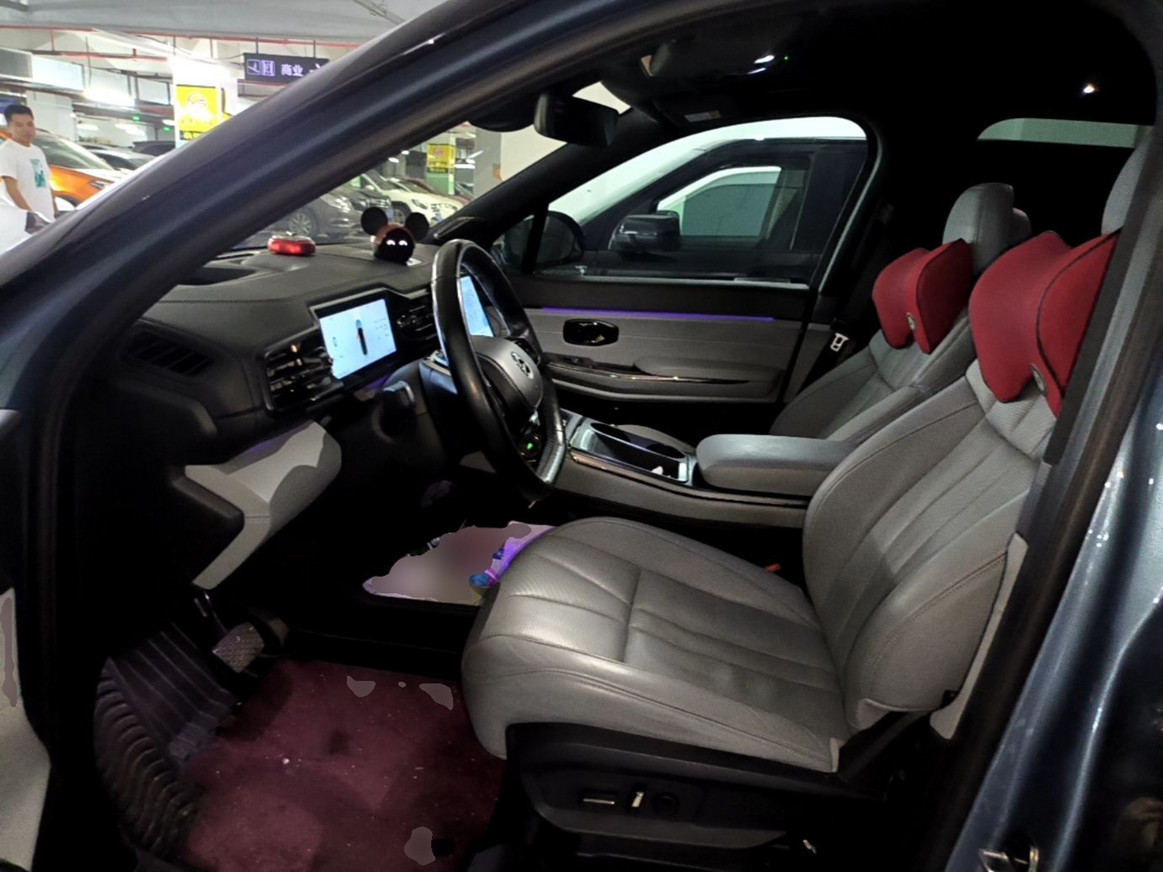 Interior delantero