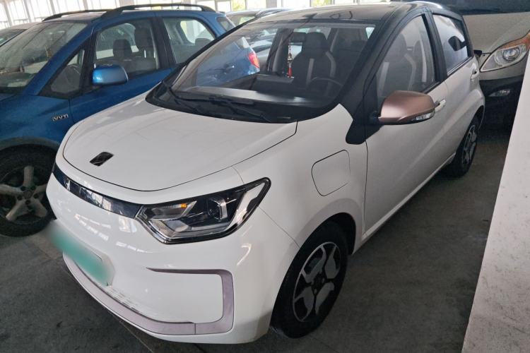 Used SOL E10X 2022 Flower Fairy Style Baby's Breath