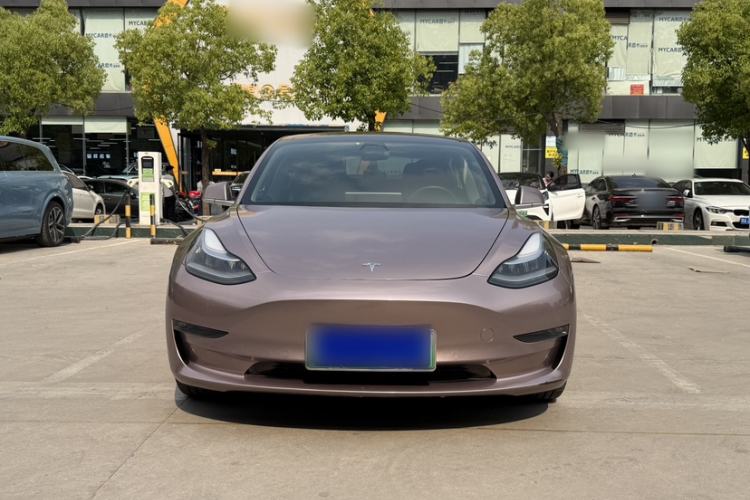 Used Tesla Model 3 2019 Long-Range All-Wheel-Drive Version
