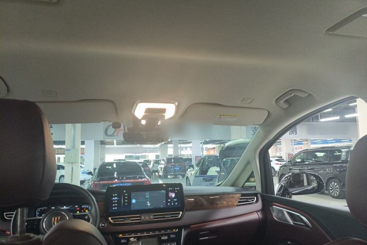 Used Hongqi HQ9 2023 2.0T Smart Connect Flagship Edition Headliner