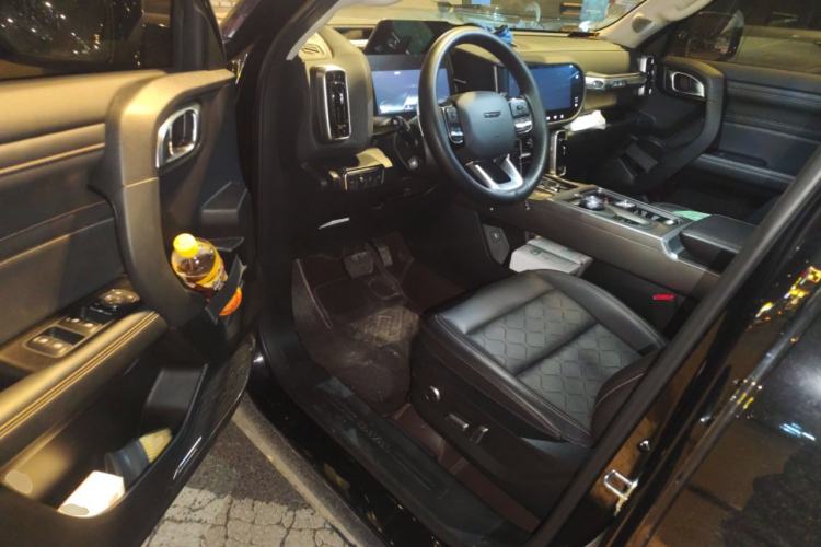 Used Haval DARGO 2024 2.0T DCT Chinese Rural Dog Edition
