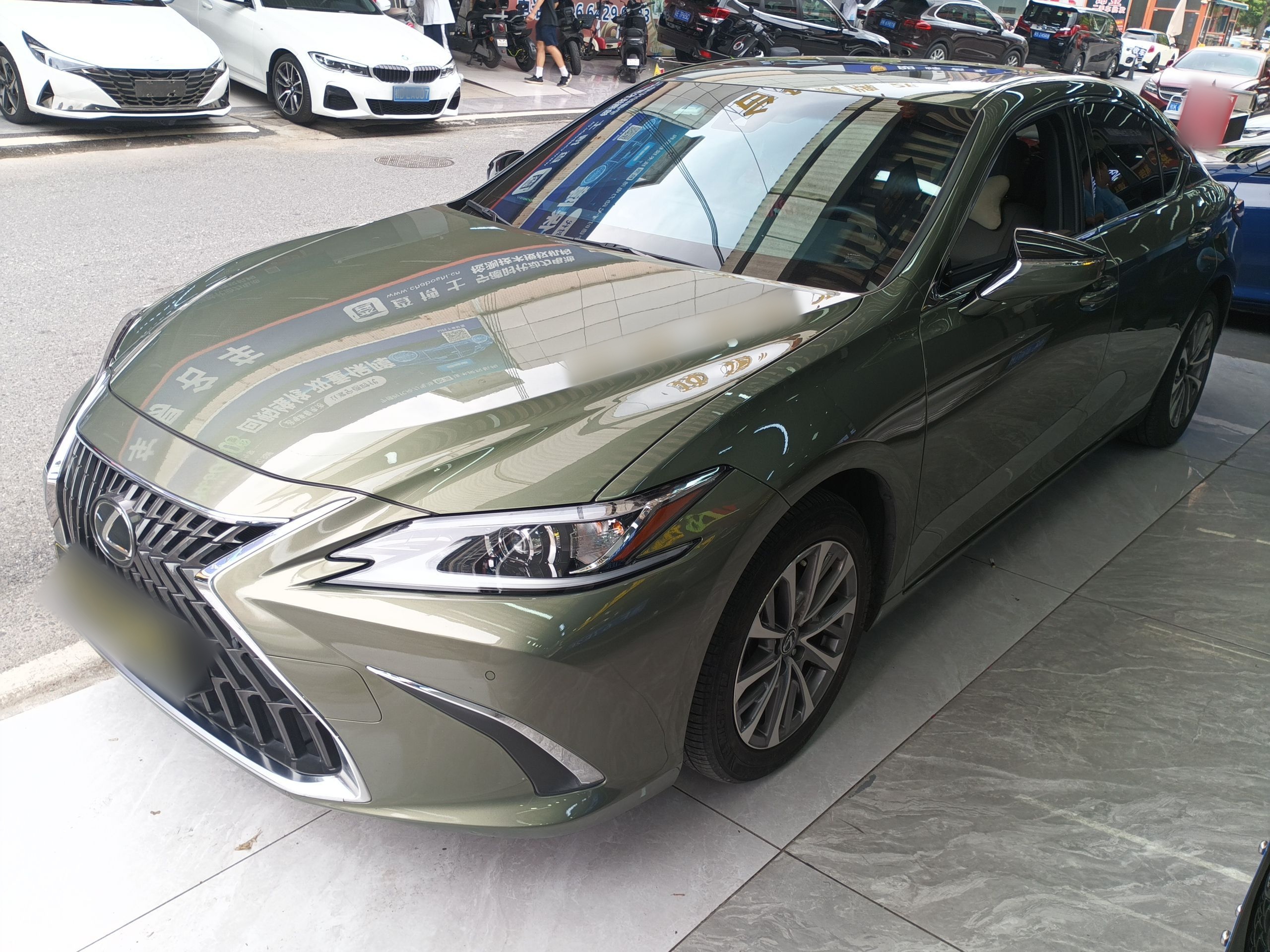 Parte inferior delantera