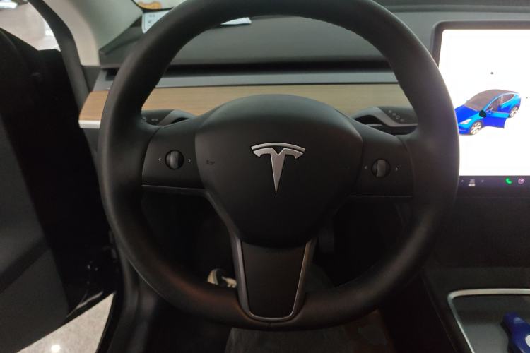 Used Tesla Model Y 2021 Standard Range Rear-Wheel Drive Version
