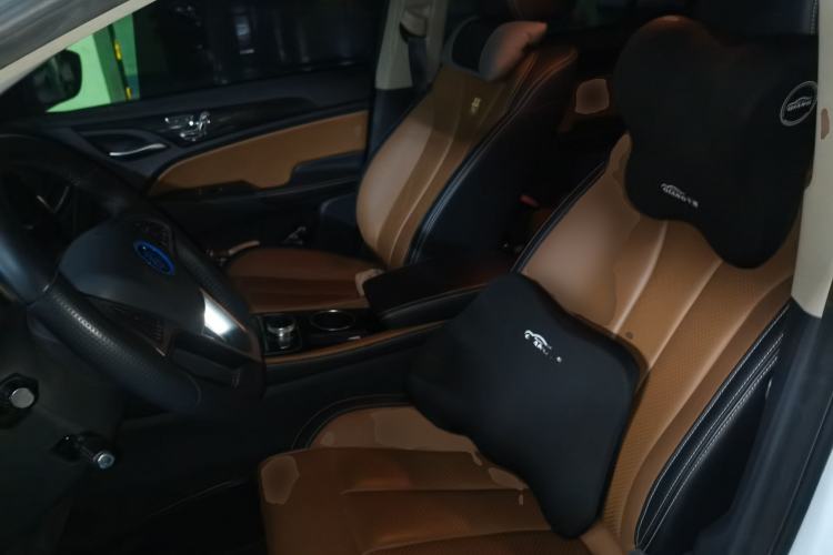 Used BYD Qin New Energy 2018 Qin EV450 Smart Connect Prestige Model Driver Seat